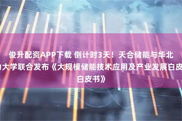 俊升配资APP下载 倒计时3天！天合储能与华北电力大学联合发布《大规模储能技术应用及产业发展白皮书》