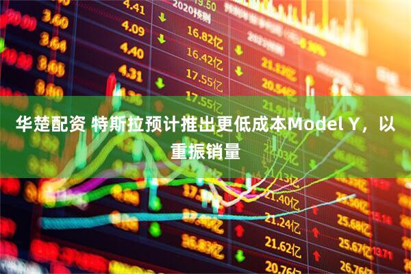 华楚配资 特斯拉预计推出更低成本Model Y，以重振销量