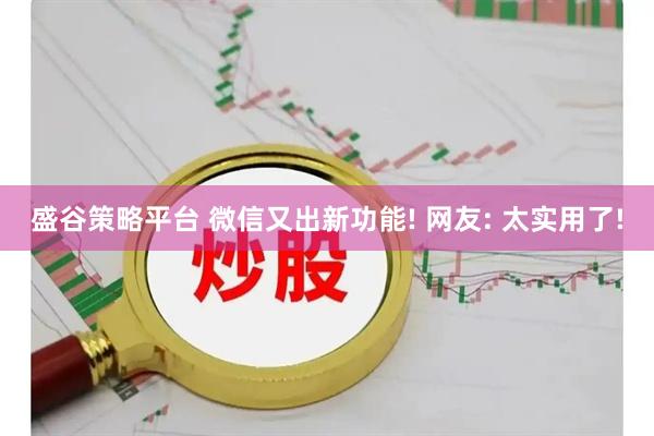 盛谷策略平台 微信又出新功能! 网友: 太实用了!